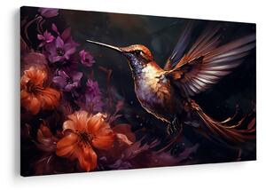 Obraz - Kolibrík (90x60 cm)