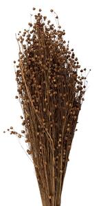 Béžová kytica sušený ľan - 60 cm (100 gr) - Clayre & Eef
