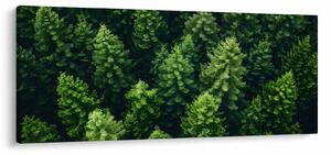 Obraz - Les (120x50 cm)