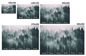 Samolepiaca fototapeta severské polárne svetlo - 150x270
