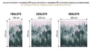 Samolepiaca fototapeta les ako z rozprávky - 150x100