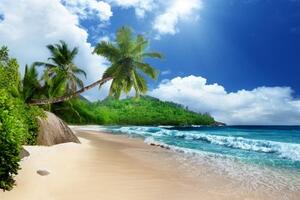 Fototapeta nádherná pláž na ostrove Seychely - 300x270