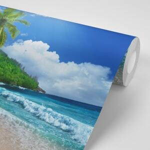 Fototapeta nádherná pláž na ostrove Seychely - 300x270