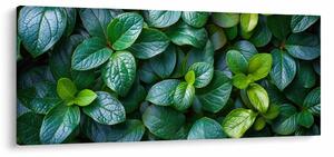 Obraz - Zelené rastliny (120x50 cm)