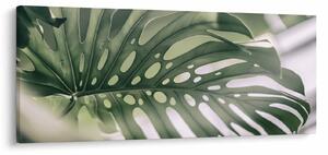 Obraz - List monštier (120x50 cm)