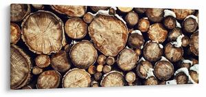 Obraz - Drevo v snehu (120x50 cm)