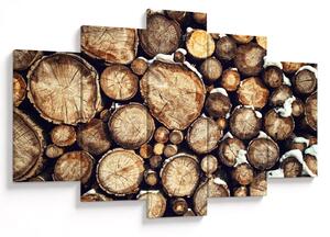 Obraz - Drevo v snehu (150x105 cm)