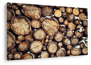 Obraz - Drevo v snehu (90x60 cm)