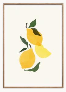 Nástenná dekorácia v ráme Composition Citron
