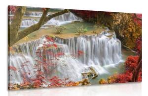Obraz lesný vodopád - 120x80