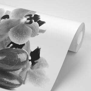 Samolepiaca fototapeta čiernobiele kamene a orchidea - 300x200