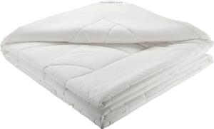 CELOROČNÁ PRIKRÝVKA, 140/200 cm, polyester, rúno, duté vlákno Sleeptex - Prikrývky & vankúše