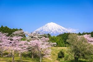 Samolepiaca fototapeta sopka Fuji - 225x150