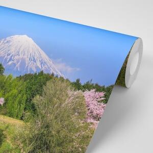 Samolepiaca fototapeta sopka Fuji - 225x150