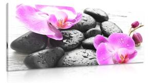 Obraz kúzelná súhra kameňov a orchidey - 100x50