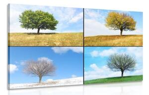Obraz strom v ročných obdobiach - 120x80