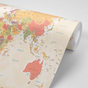 Samolepiaca tapeta podrobná mapa sveta - 225x150