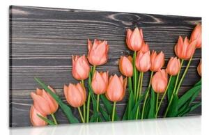 Obraz očarujúce oranžové tulipány na drevenom podklade - 60x40