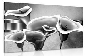 Obraz elegantné kvety kaly v čiernobielom prevedení - 120x80