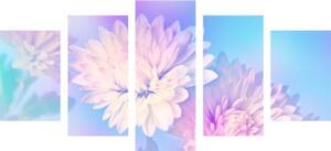 5-dielny obraz kvet chryzantémy - 100x50