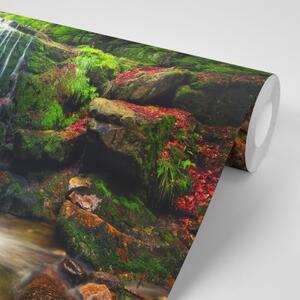 Samolepiaca fototapeta vodopád v lese - 225x150