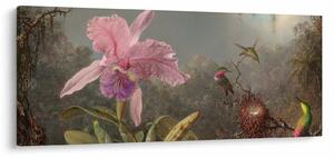 Obraz - Martin Johnson Heade, Cattleya Orchid and Three Hummingbirds, reprodukcia (120x50 cm)