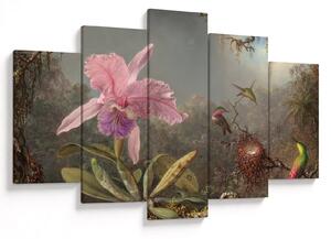 Obraz - Martin Johnson Heade, Cattleya Orchid and Three Hummingbirds, reprodukcia (150x105 cm)