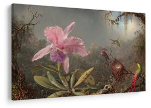 Obraz - Martin Johnson Heade, Cattleya Orchid and Three Hummingbirds, reprodukcia (90x60 cm)