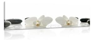 Obraz biele kvety orchidey - 120x40