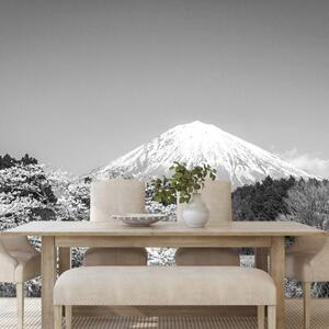 Samolepiaca fototapeta hora Fuji v čiernobielom - 225x150