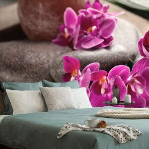 Fototapeta nádherná orchidea a Zen kamene - 225x150