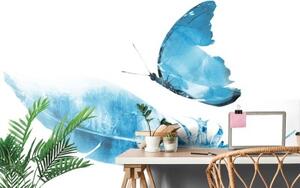 Samolepiaca tapeta pierko s motýľom v modrom prevedení - 225x150