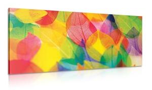 Obraz listy v jesenných farbách - 100x50