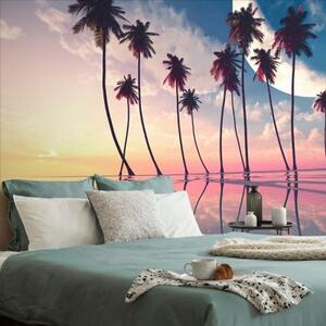 Samolepiaca tapeta západ slnka nad tropickými palmami - 300x200