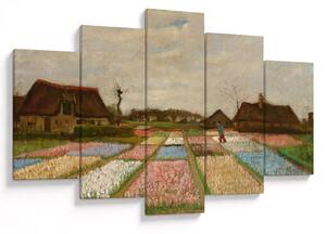 Obraz - Vincent van Gogh, Flower Beds in Holland, reprodukcia (150x105 cm)