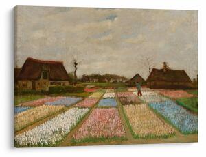 Obraz - Vincent van Gogh, Flower Beds in Holland, reprodukcia (70x50 cm)