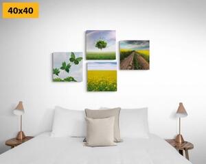 Set obrazov oslnivá príroda - 4x 40x40