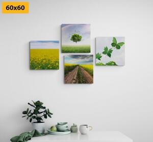 Set obrazov oslnivá príroda - 4x 40x40