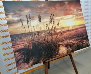 Obraz západ slnka na pláži - 120x80
