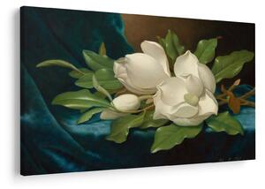 Obraz - Martin Johnson Heade, Giant Magnolias on a Blue Velvet Cloth, reprodukcia (90x60 cm)