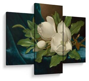 Obraz - Martin Johnson Heade, Giant Magnolias on a Blue Velvet Cloth, reprodukcia (90x60 cm)