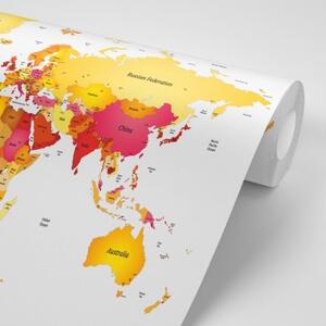 Tapeta mapa sveta vo farbách - 300x200