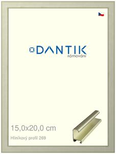 DANTIK rám na obraz 15x20 | ALU Šedá Pyrit broušená (Sklo Čiré)