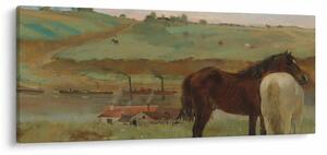 Obraz - Edgar Degas, Horses in a Meadow, reprodukcia (120x50 cm)
