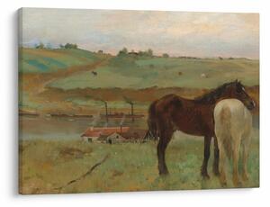 Obraz - Edgar Degas, Horses in a Meadow, reprodukcia (70x50 cm)