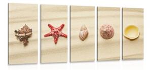 5-dielny obraz mušle na piesočnatej pláži - 100x50