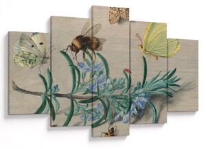 Obraz - Jan van Kessel the Elder, Insects and a Sprig of Rosemary, reprodukcia (150x105 cm)