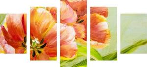 5-dielny obraz červené tulipány vo vintage prevedení - 100x50