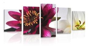 5-dielny obraz kvety v miske - 100x50