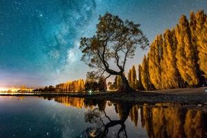 Obraz strom pod hviezdnou oblohou - 60x40